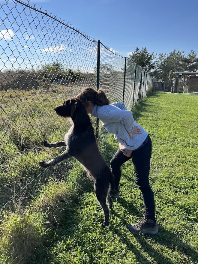 qui sommes nous aux chiens perches 51