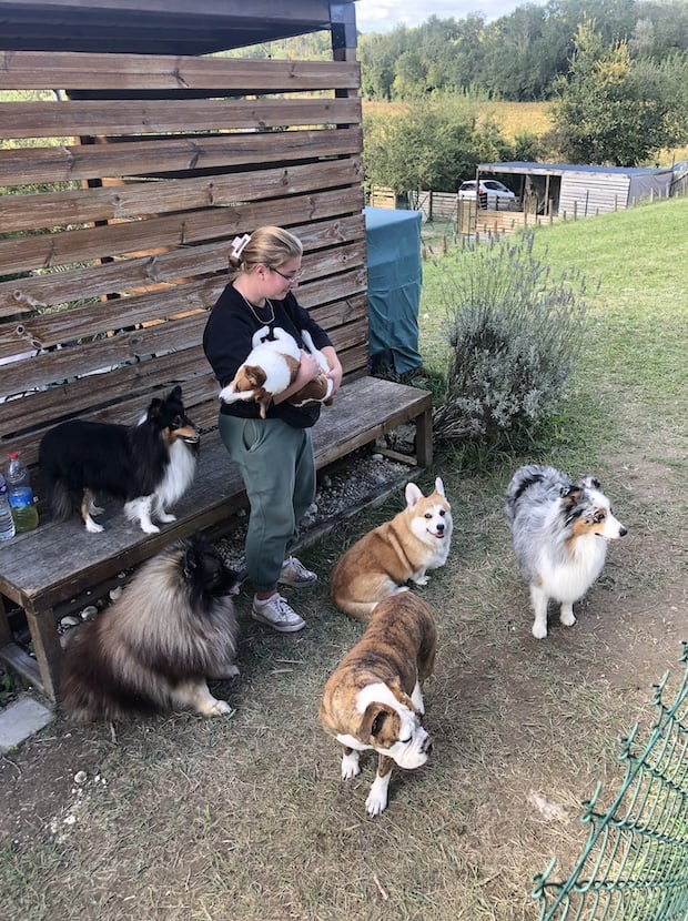 comment reserver aux chiens perches 51