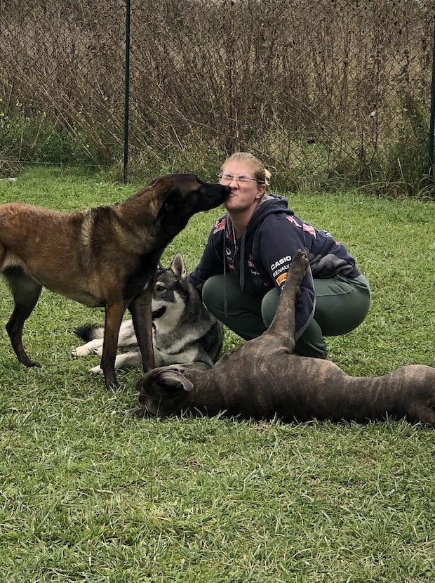 equipe sarah aux chiens perches 51