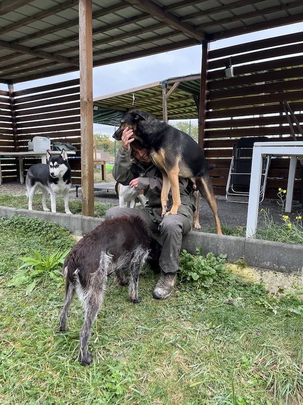 equipe stephanie aux chiens perches 51