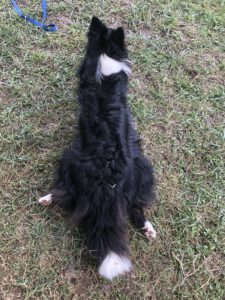 image00035 2
